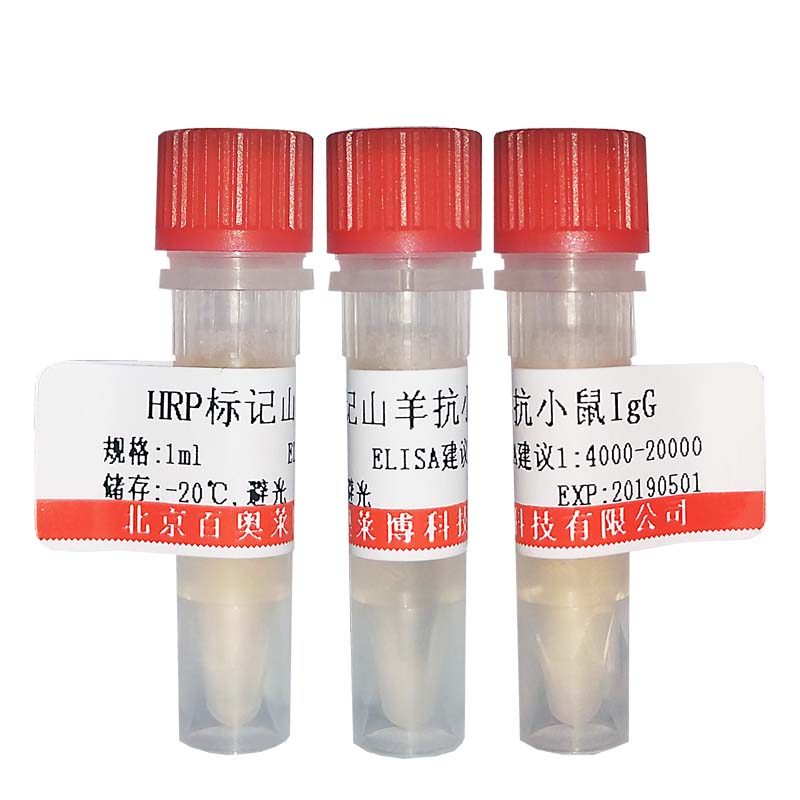 CYB164017型羊抗小鼠IgG(1：500～2000)-HRP促销