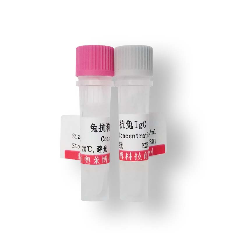 兔抗荧光素FITC抗体(国产,进口)
