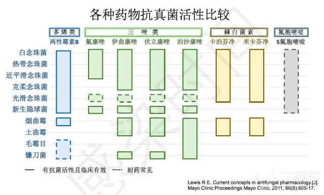 真菌药物学习笔记的副本(1)_页面_11.jpg