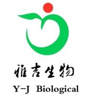 大肠杆菌TG1化学感受态细胞