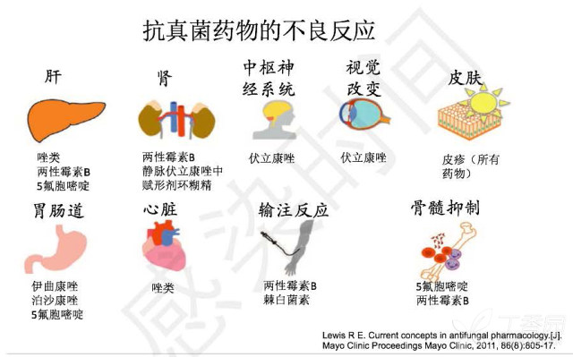 真菌药物学习笔记的副本(1)_页面_12.jpg