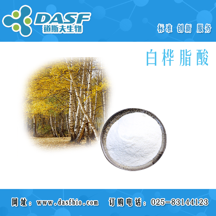 白桦提取物 白桦脂酸1%-99% CAS:4481-62-3