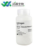 Invitrogen 琼脂糖Agarose 75510019