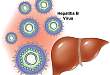 血清 HBV RNA+HBsAg 定量检测或可预测慢性乙型肝炎患者核苷（酸）类似物抗病毒治疗停药复发风险