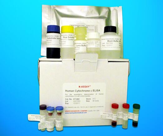 Vasoactive Intestinal Peptide Receptor 1 (VIPR1) ELISA Kit, Human