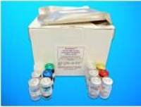 Insulin (INS) ELISA Kit, Human