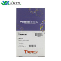 Adhesive PCR Plate Seals Thermo Scientific AB0558 100sheets