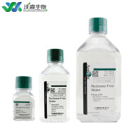 Invitrogen Nuclease-Free Water无核酸酶水 AM9932