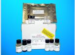 B-Lymphocyte Chemoattractant 1 ELISA Kit (BLC1), Human产品图