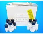 Cell surface glycoprotein CD200 receptor 1 (CD200R1) ELISA kit, Human