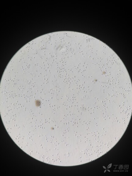 3270646224055395610-16w.jpg