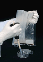 无菌均质袋/无菌采样袋