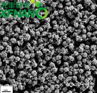 链霉亲和素磁珠