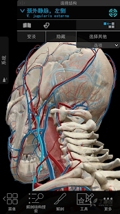 human anatomy atlas 2018 pc human anatomy atlas 2018 pc