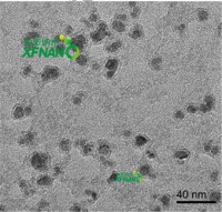 Fe3O4@SiO2核壳结构磁性纳米颗粒