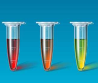 鸡白介素1拭子病毒采集和核酸保存及纯化试剂盒7(IL-17)PCR试剂盒