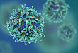 T 细胞流式抗体