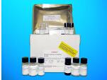 Insulin Autoantibody ELISA Kit (IAA), Human