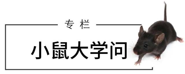 image7.jpeg