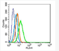 APC标记小鼠抗人CD127单克隆抗体