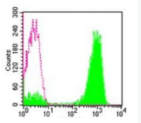 PE标记小鼠抗人CD8单克隆抗体