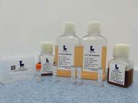 CHO 瞬时表达系统试剂盒