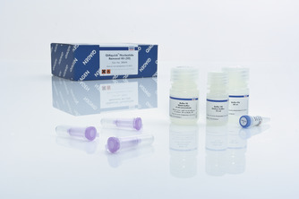 QIAquick Nucleotide Removal Kit (50) 货号28304