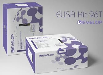 大鼠脂多糖结合蛋白(LBP) ELISA试剂盒