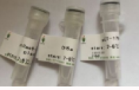 5’核苷酸酶(5-NT)(EC3.1.3.5)