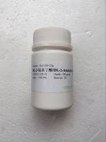 β-半乳糖苷酶(GAL) (EC 3.2.1.23)