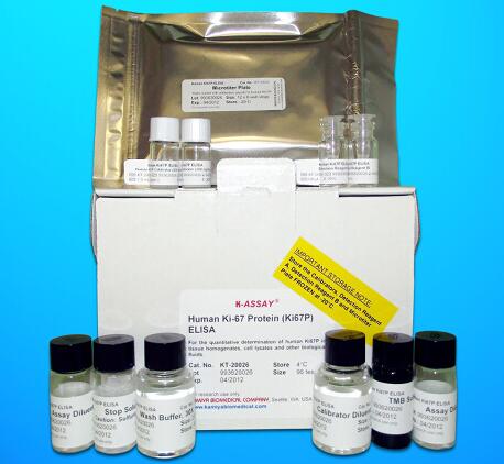 Immunoglobulin G (IgG) ELISA Kit, Human