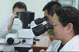 科学研究
