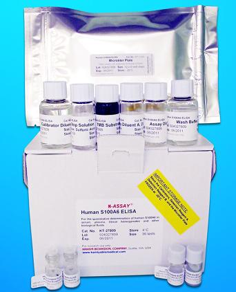 N-Terminal Pro Brain Natriuretic Peptide (NT-ProBNP) ELISA Kit, Human