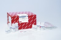 大鼠叉头框蛋白P3(FoxP3)elisa检测试剂盒价格