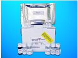 Heat shock protein beta-7 (HSPB7) ELISA kit, Human