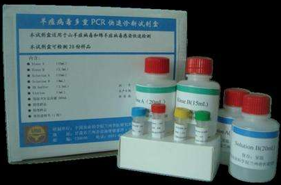 阻断法 禽流感H9病毒抗体检测试剂盒
