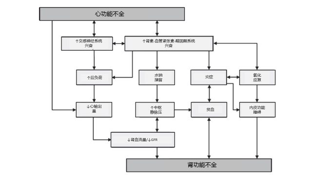 肾和牙齿有相互作用吗 心肾相互作用：晚期慢性肾脏病患者如何处理心衰