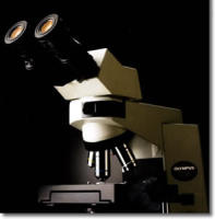 奥林巴斯CX41显微镜报价