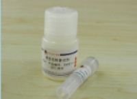 一步法感受态细菌制备试剂盒