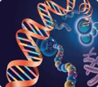 草酸右旋西酞普兰