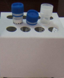 氯霉素酶联免疫检测试剂盒