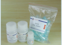 PCR纯化试剂盒/DNA纯化试剂盒