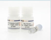 MTT细胞增殖及细胞毒性检测试剂盒