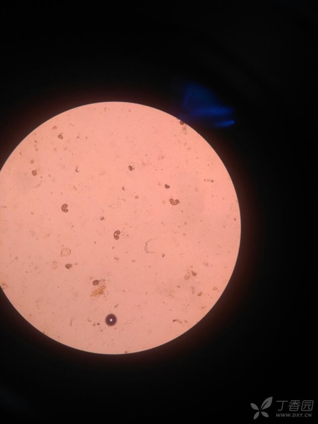 有没有大佬知道的,告知一下,谢谢!