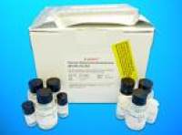 Acyl-coenzyme A synthetase ACSM3, mitochondrial (ACSM3) ELISA Kit, Human