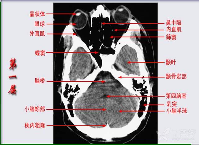丁香园论坛 - 专业医生社区,医学,药学,生命科学,科研学术交流