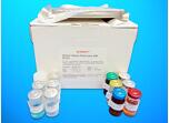 Arachidonic Acid ELISA Kit (AA), Human