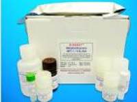 Alpha-methylacyl-CoA racemase (AMACR) ELISA Kit, Human