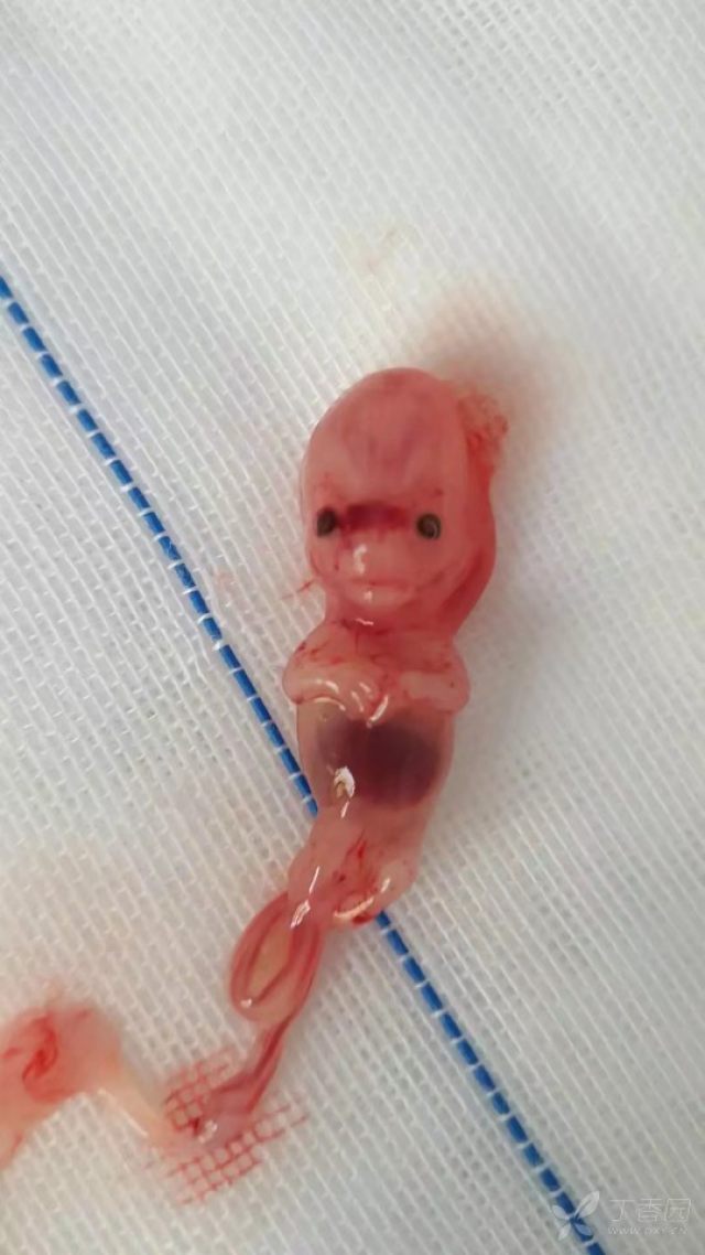 不能看的请回避!