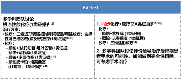 2018肺癌最新靶向药 2018 版 CSCO 肺癌指南：更新要点一览